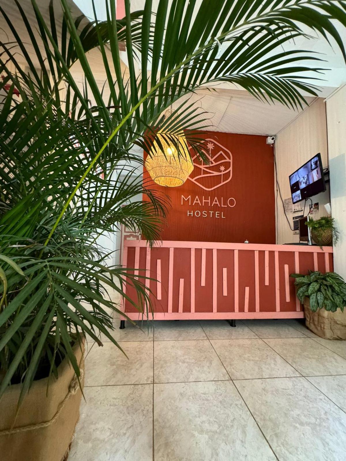 Mahalo Auberge de jeunesse